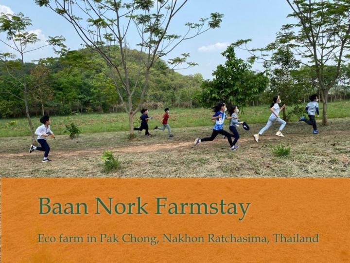 Baan Nork Farmstay บ้านนอก ฟาร์มสเตย์ Nong Nam Daeng Exterior photo