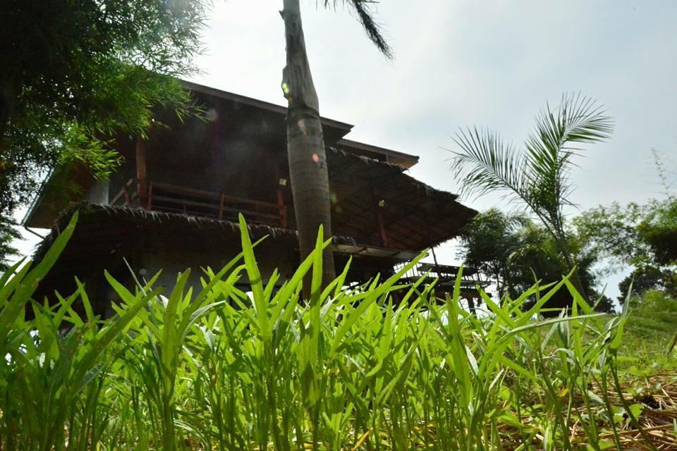 Baan Nork Farmstay บ้านนอก ฟาร์มสเตย์ Nong Nam Daeng Exterior photo